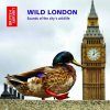 Wild London: Sounds of the City's Wildlife