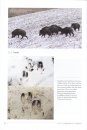 The Art of Tracking Animals