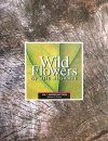 Wild Flowers of the Algarve, Volume 1