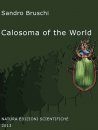 Calosoma of the World