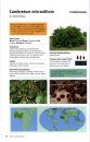 Guide d'Identification des Arbres du Burkina Faso [Identification Guide to the Trees of Burkina Faso]