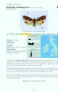 Conifer Moths of the British Isles