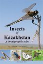 Insects of Kazakhstan
