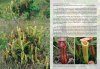 Field Guide to the Pitcher Plants of Peninsular Malaysia and Indochina