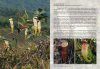 Field Guide to the Pitcher Plants of Peninsular Malaysia and Indochina