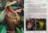 Field Guide to the Pitcher Plants of Peninsular Malaysia and Indochina