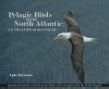 Pelagic Birds of the North Atlantic: An Identification Guide