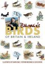 Bill Oddie's Birds of Britain and Ireland