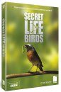 The Secret Life of Birds (Region 2)