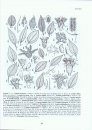 Flora Fanerogâmica do Estado de São Paulo, Volume 6 [Phanerogamic Flora of the State of São Paulo, Volume 6]