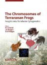 The Chromosomes of Terraranan Frogs