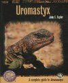 Uromastyx: A Complete Guide to Uromastyx