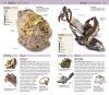 DK Nature Guide Rocks and Minerals