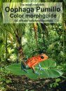 The Most Complete Oophaga Pumilio Color Morphguide