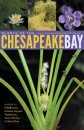 Plants of the Chesapeake Bay