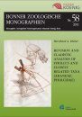 Revision and Cladistic Analysis of Pholcus and Closely Related Taxa (Araneae, Pholcidae)