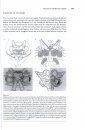 The Natural History of the Crustacea, Volume 1: Functional Morphology and Diversity