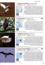 The World's Rarest Birds