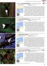 The World's Rarest Birds