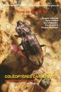 Faune de France, Volume 94: Coléoptères Carabiques, Volume 1: Complément et Mise à Jour [Coleoptera Carabidae, Volume 1: Complement and Update]