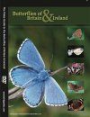 The Video Guide to the Butterflies of Britain and Ireland (Region 2)