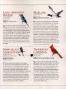 National Geographic Bird Watcher's Bible