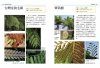 Native Plants of Northern Taiwan [Chinese]