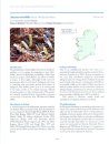 Rare and Threatened Bryophytes of Ireland