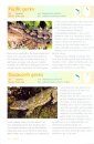 Collins Field Guide to New Zealand Wildlife