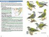 Roberts Geographic Variation of Southern African Birds