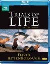 The Trials of Life: DVD (Region 2 & 4) & Blu-Ray