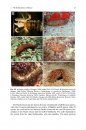 Echinoderm Research and Diversity in Latin America