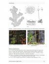 Flore des Bryophytes du Québec-Labrador, Volume 1: Anthocérotes et Hépatiques [Bryophyte Flora of Quebec Labrador, Volume 1: Hornworts and Liverworts]