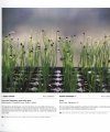 International Garden Photographer of the Year, Collection 5