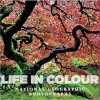 Life in Colour