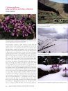 Genus Cyclamen in Science, Cultivation, Art and Culture