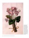 Genus Cyclamen in Science, Cultivation, Art and Culture