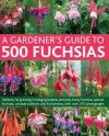 A Gardener's Guide to 500 Fuchsias