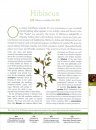 National Geographic Guide to Medicinal Herbs