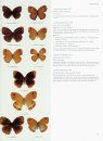 Butterflies of the Holarctic Region, Part 2
