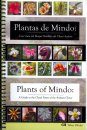 Plants of Mindo / Plantas de Mindo