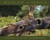 Wildlife of Africa (Mini Edition)