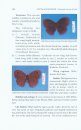 Handbook on Diversity in Some of the Indian Butterflies (Insecta: Lepidoptera)