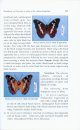 Handbook on Diversity in Some of the Indian Butterflies (Insecta: Lepidoptera)
