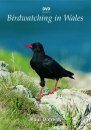 DVD Guide to Birdwatching in Wales (All Regions)