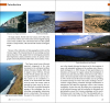 Marine Plants of the Canary Islands