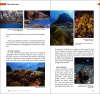Marine Plants of the Canary Islands