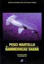Hammerhead Shark / Pesci Martello