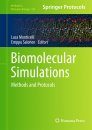 Biomolecular Simulations