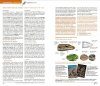 Identifying Animals: All Vertebrates of France, Benelux, Great Britain and Ireland / Tout les Vertébrés de France, Benelux, Grande-Bretagne et Irlande